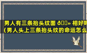 男人有三条抬头纹面 🌻 相好吗（男人头上三条抬头纹的命运怎么样 🐞 ）